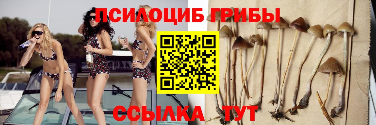Галлюциногенные грибы ЛСД  Вход с VPN  Красногорск  Псилоцибиновые грибы Cubensis 