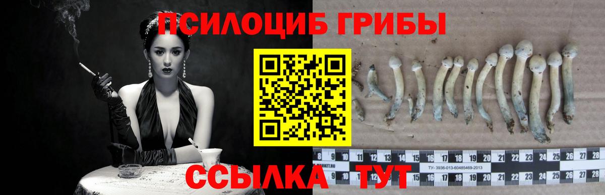 Псилоцибиновые грибы мицелий Красногорск