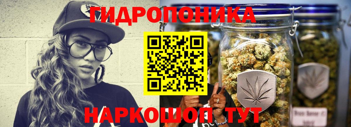 Бошки марихуана MAZAR Красногорск